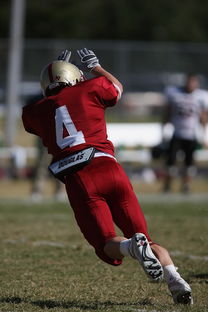 九游体育官网入口-中超球队传球链路密集度评分系统